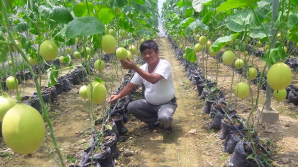 Thanh Hóa: Tổng sản phẩm nông nghiệp 6 tháng tăng trên 1,6%