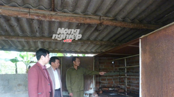 Tuyên Quang ngăn chặn tình trạng kích điện giun đất