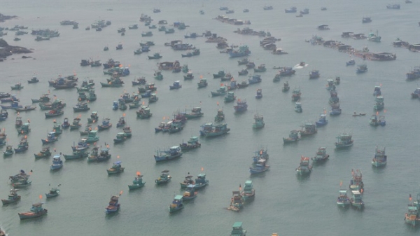 Kiên Giang: Trên 3.000 tàu cá hết hạn giấy phép khai thác