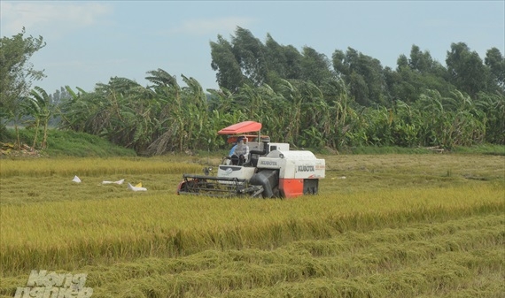 Kiên Giang: Tốc độ tăng trưởng ngành Nông nghiệp đạt thấp