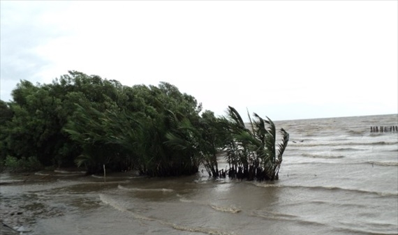 Kiên Giang: Cần gần 1.700 tỷ đồng khẩn cấp để chống sạt lở đê biển
