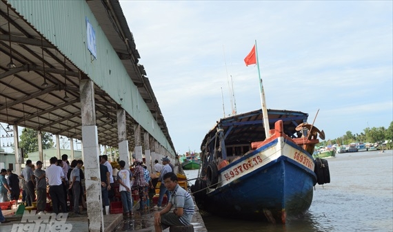 Kiên Giang: Được giao hơn 4.000 giấy phép khai thác thủy sản vùng khơi