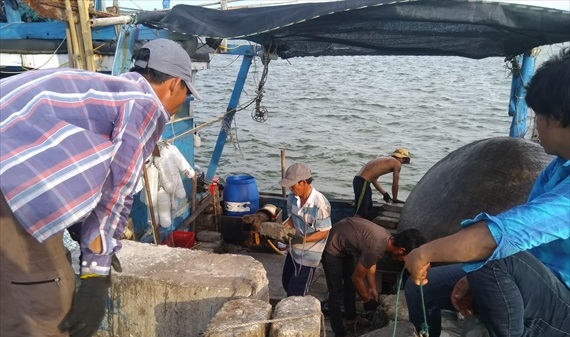 Quảng Trị: Cảng cá Cửa Việt và Cửa Tùng hoạt động trở lại