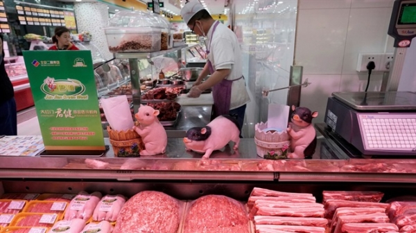 Giá thịt lợn tăng trước dự báo