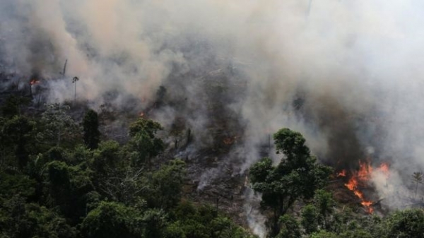 Thảm họa cháy rừng Amazon
