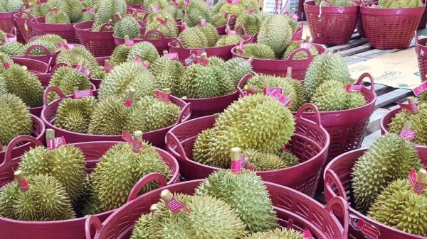 Thái -Trung đẩy mạnh giao thương trái cây