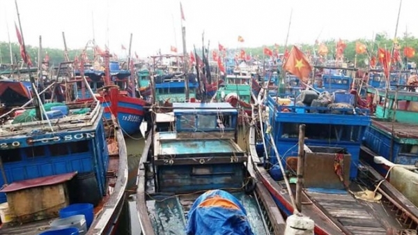 Thanh Hóa: 100% tàu thuyền đã neo đậu an toàn