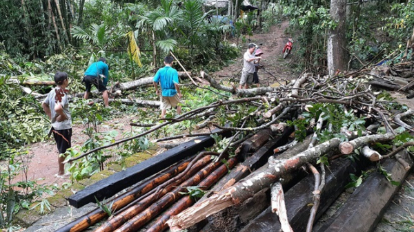 Thanh Hóa: Một người chết, nhiều nhà dân bị thiệt hại do mưa lớn