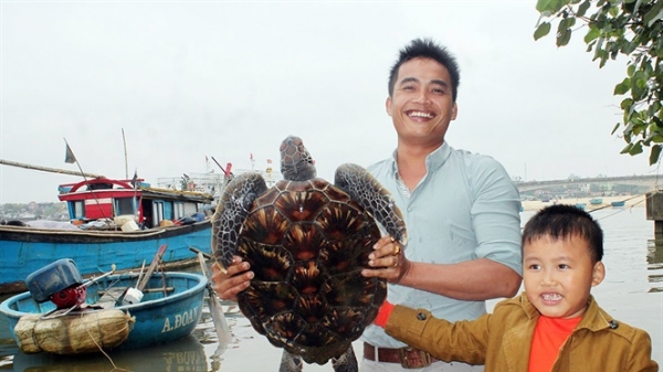 Bảo tồn rùa quý hiếm ở biển đảo Cồn Cỏ