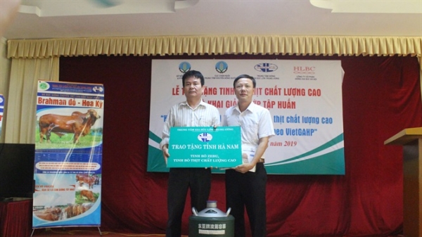 Hỗ trợ hàng nghìn liều tinh bò chất lượng cao cho Hà Nam