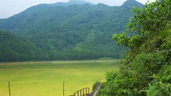 Hồ Gò Miếu bị ô nhiễm nặng nề