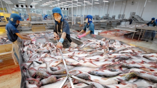 Trung Quốc mở chính sách thuế cho thủy sản Việt Nam