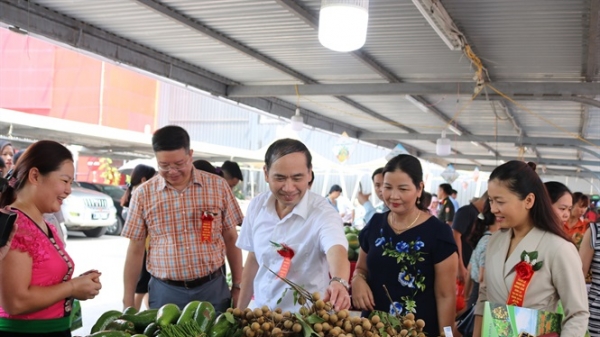 21 doanh nghiệp, HTX tham gia tuần lễ Nhãn và nông sản an toàn tỉnh Sơn La 2019