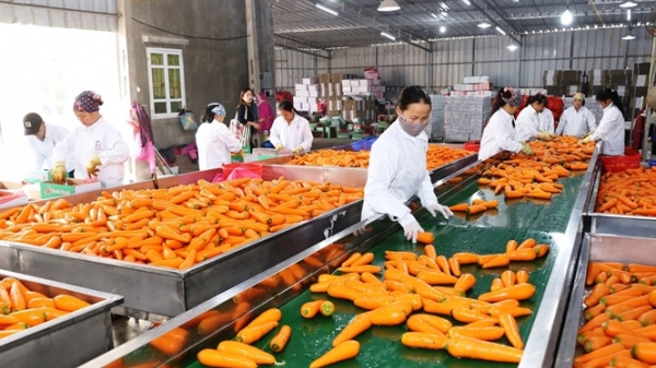 Doanh nghiệp Việt - Nhật tìm kiếm cơ hội hợp tác nông nghiệp