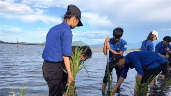 TT- Huế: Thanh niên xã ra quân trồng hơn 10 ngàn cây rừng ngập mặn