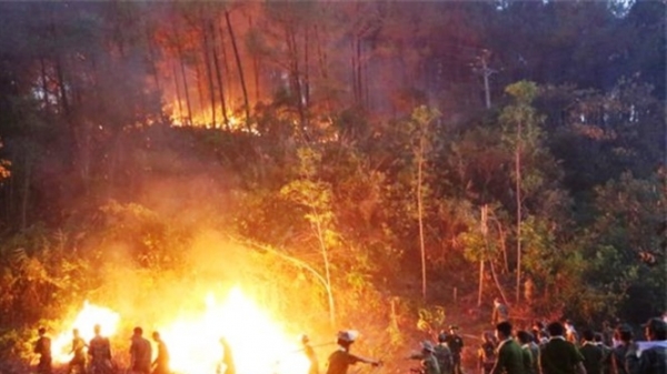 TT - Huế điều tra 4 vụ cháy rừng liên tiếp trong 1 ngày
