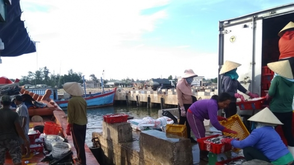 Quảng Trị: 400 tỷ đồng xây dựng, nâng cấp cơ sở dịch vụ hậu cần nghề cá