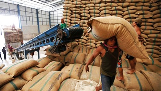 90% gạo dự trữ của Thái Lan có nguy cơ hỏng, thiệt hại cực lớn
