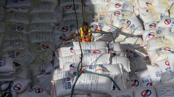Năm 2015 Philippines có thể nhập khẩu 600.000 tấn gạo