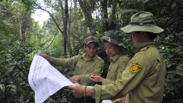 Bổ sung hơn 319 tỷ thực hiện dự án điều tra, kiểm kê rừng