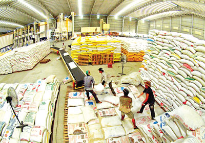 Mua tạm trữ 1 triệu tấn gạo từ 1/3/2015
