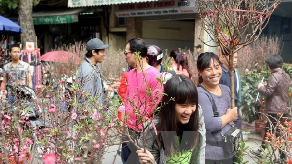 49 điểm chợ hoa Xuân Ất Mùi ở Hà Nội