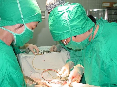 ‘Cậu nhỏ’ bệnh nhân ở Quảng Nam bị cắt đứt sát gốc đã... sống tốt