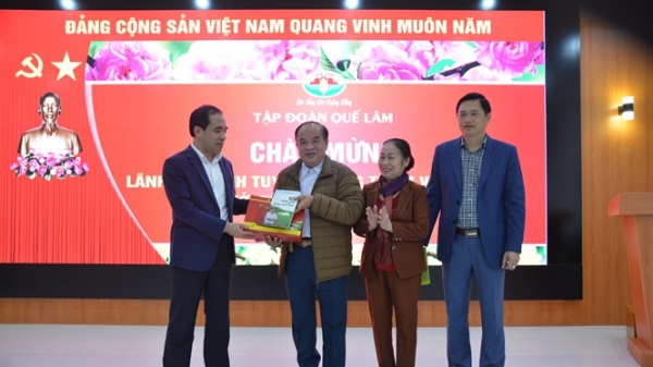 Tuyên Quang hợp tác với Tập đoàn Quế Lâm hỗ trợ người dân làm nông nghiệp hữu cơ