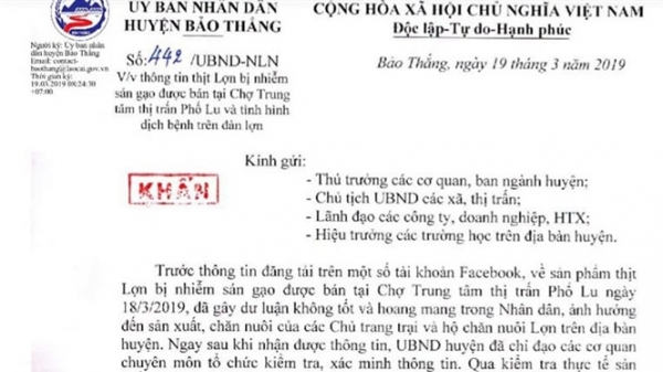 “Thịt lợn nhiễm sán gạo tại Lào Cai” chỉ là tin vịt