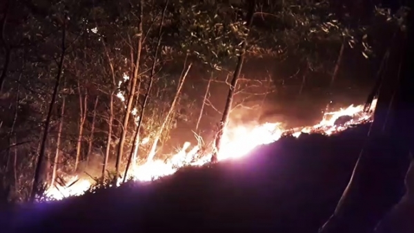 Quảng Nam xảy ra cháy rừng