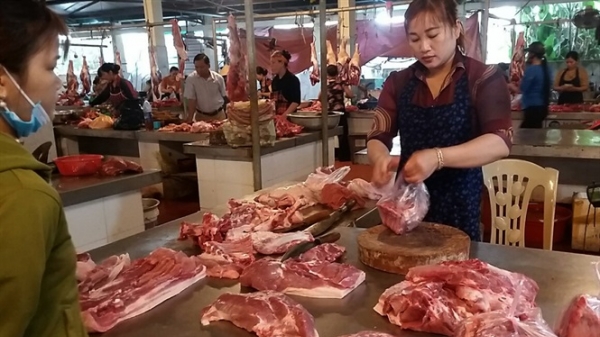 Quê lúa Yên Thành chuộng thịt lợn sạch