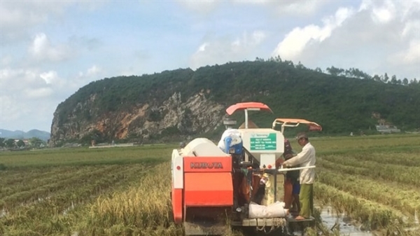 Nghệ An: Bảo kê máy gặt lúa, 3 đối tượng bị bắt giữ