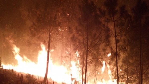 Nghệ An: Cháy rừng thông trong đêm