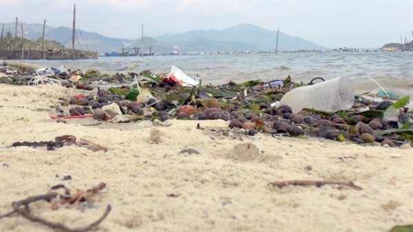 Môi trường vùng nuôi 'thủ phủ' tôm hùm ở Phú Yên vẫn bất lợi