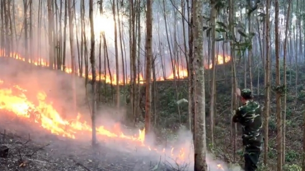 Nắng nóng khiến rừng liên tục cháy ở Phú Yên