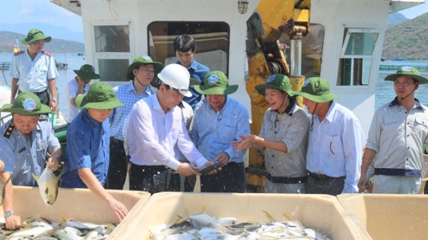 Bộ trưởng Nguyễn Xuân Cường thị sát vịnh Vân Phong chuẩn bị chiến lược nuôi biển