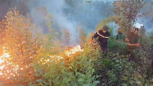 Phú Yên lại cháy rừng