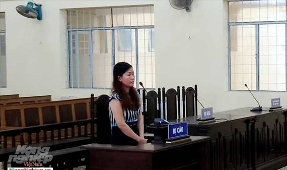Vu khống cán bộ “cướp tài sản”, nữ giám đốc bị phạt 3 năm tù