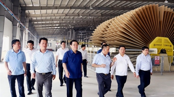 Hà Tĩnh: Nhà máy sản xuất gỗ gần 1.500 tỷ đi vào hoạt động