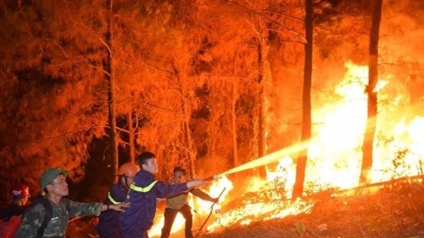 Tạm giữ đối tượng nghi gây cháy rừng dữ dội tại Hà Tĩnh
