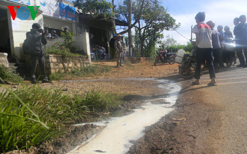 Người dân Lâm Đồng đổ hàng nghìn lít sữa bò tươi ra đường
