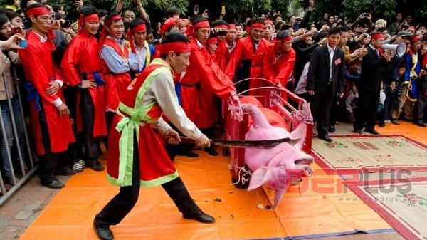 Rùng mình lễ hội chém lợn ở Bắc Ninh