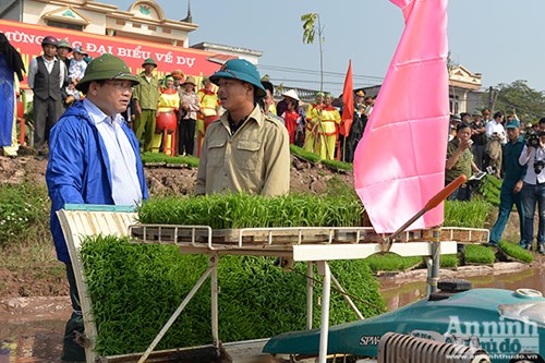 [ảnh] Bí thư, Chủ tịch Hà Nội xuống ruộng cùng nông dân khai mở vụ xuân