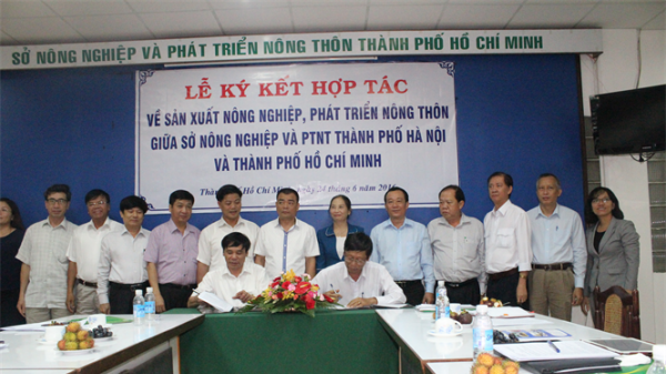 TP.HCM, Hà Nội, Bình Dương hợp tác quản lý an toàn thực phẩm...