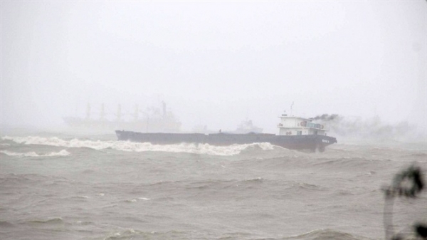 Bình Định: Cứu được 71 thuyền viên, 12 người đang mất tích