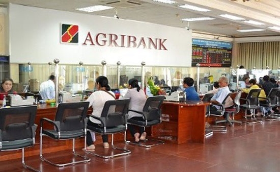 Agribank giảm lãi suất cho vay đối với nông dân trồng hồ tiêu