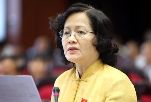 Bà Trần Thị Quốc Khánh: Luật Giao dịch điện tử còn sống hay đã chết?