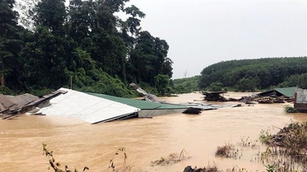 10 người thiệt mạng vì mưa, lũ tại các tỉnh Tây Nguyên