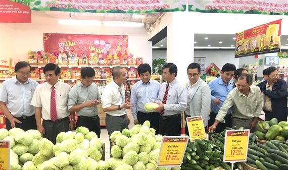Lễ ra mắt Dự án sinh kế cộng đồng hỗ trợ nông dân tiêu thụ rau an toàn tại Bình Định