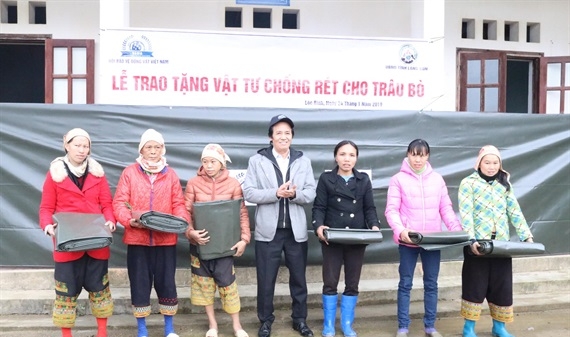 Lạng Sơn: Hỗ trợ vật tư chống rét cho gia súc tại cùng cao